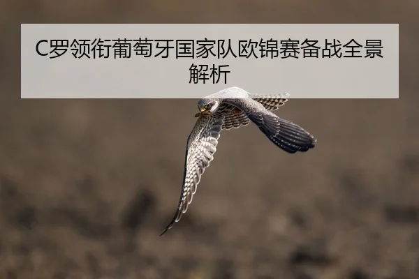 C罗领衔葡萄牙国家队欧锦赛备战全景解析